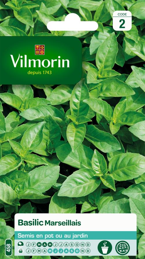 Basilic Marseillais Extrêmement Parfumé Vilmorin