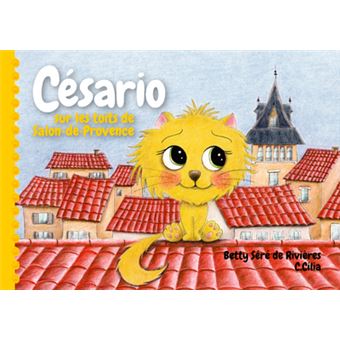 Césario sur les toits de Salon-de-Provence