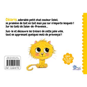 Césario sur les toits de Salon-de-Provence