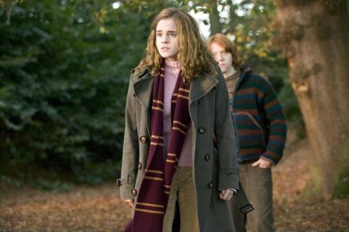 HARRY POTTER - Echarpe Gryffondor : : Echarpe Harry Potter