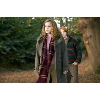 Écharpe Gryffondor Harry Potter Cinereplicas Pourpre et or 190 cm - Autres  vêtements goodies - Achat & prix