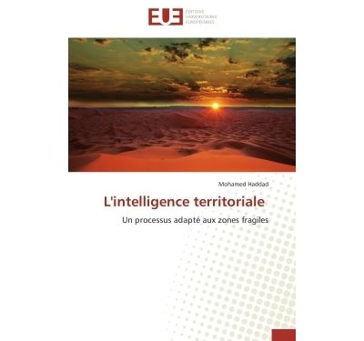 L'intelligence territoriale