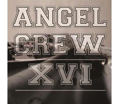 Xvi ltd