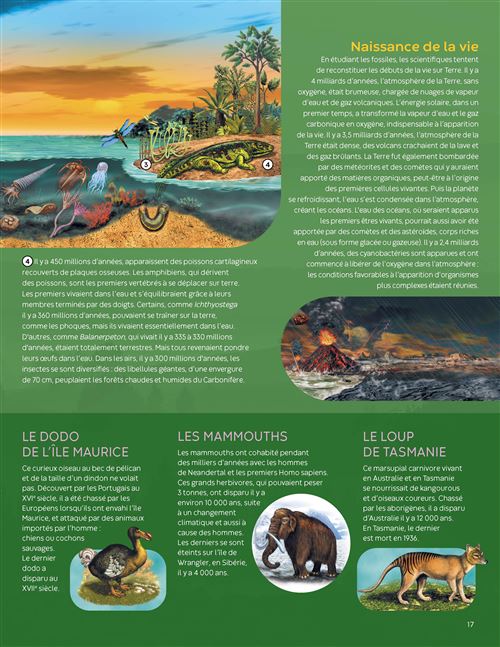 10907 Les animaux du monde