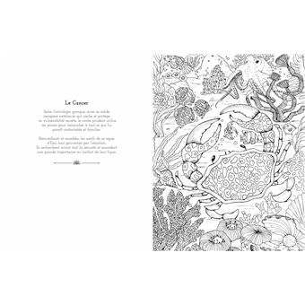 Astrologie - Coloriages