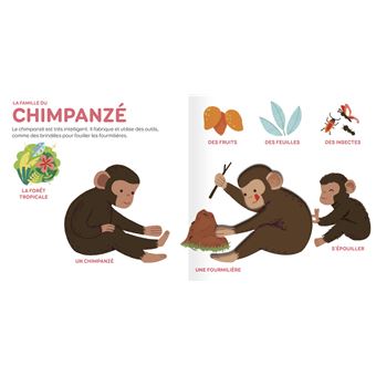 Les animaux sauvages