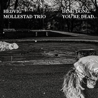 Ding Dong You're Dead Vinyle Transparent