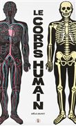 Le corps humain
