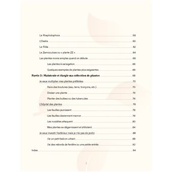 Végétalisez votre intérieur avec Marion Botanical