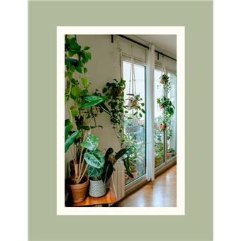 Végétalisez votre intérieur avec Marion Botanical