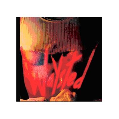 Waysted plus