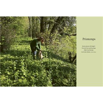 Breuvages sauvages - Pétillants, vins, kéfirs, infusions, smoothies ... avec des plantes sauvages
