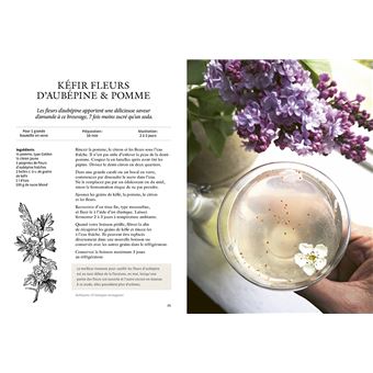 Breuvages sauvages - Pétillants, vins, kéfirs, infusions, smoothies ... avec des plantes sauvages