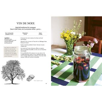 Breuvages sauvages - Pétillants, vins, kéfirs, infusions, smoothies ... avec des plantes sauvages