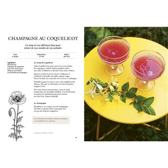 Breuvages sauvages - Pétillants, vins, kéfirs, infusions, smoothies ... avec des plantes sauvages