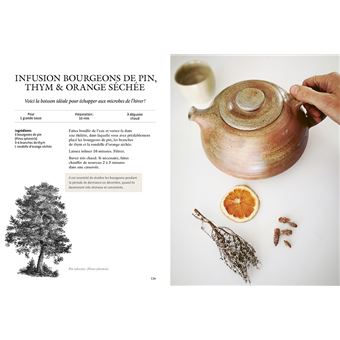 Breuvages sauvages - Pétillants, vins, kéfirs, infusions, smoothies ... avec des plantes sauvages