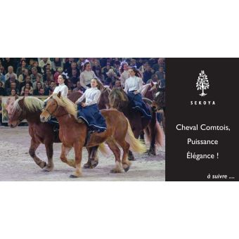 Cheval Comtois