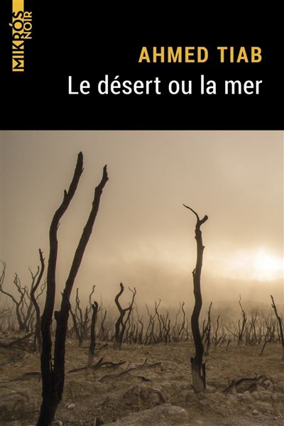 Le désert ou la mer - Ahmed Tiab - Poche