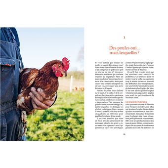 Elever des poules - Des alliés vers l'autonomie