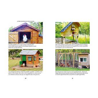 Elever des poules - Des alliés vers l'autonomie