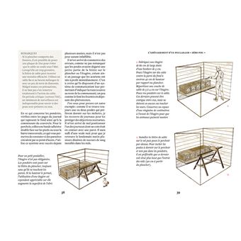 Elever des poules - Des alliés vers l'autonomie