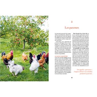 Elever des poules - Des alliés vers l'autonomie