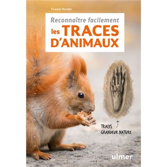 Reconnaître facilement les traces d'animaux - Traces grande nature
