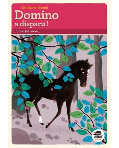 Domino a disparu