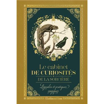 Petit précieux Cabinet de curiosités de la sorcière. Légendes et pratiques magiques