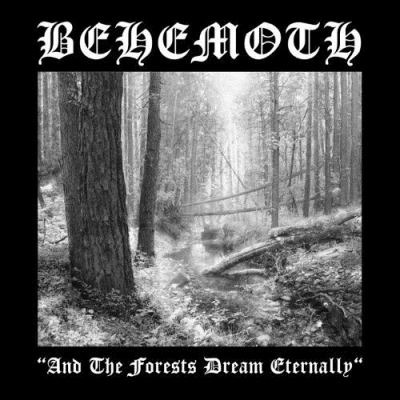 And the forests dream eternall