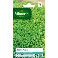Basilic Pistou Vilmorin