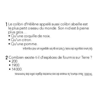Animaux dingos - 540 quiz et défis