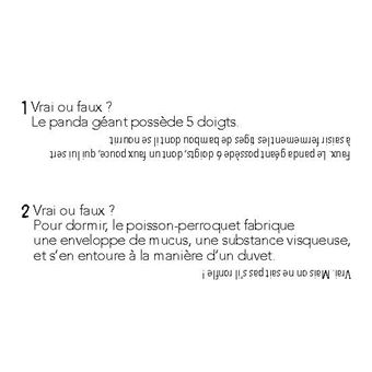 Animaux dingos - 540 quiz et défis