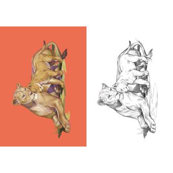 LE ROI LION - Super Colos - Disney