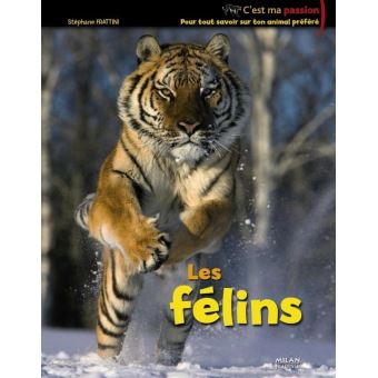 Félins (les) - 1