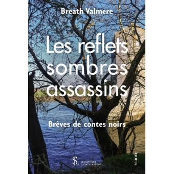 Les reflets sombres assassins
