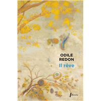 Il rêve : et autres contes