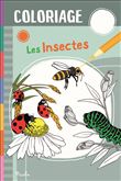 Les insectes - Coloriage