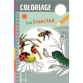 Les insectes - Coloriage