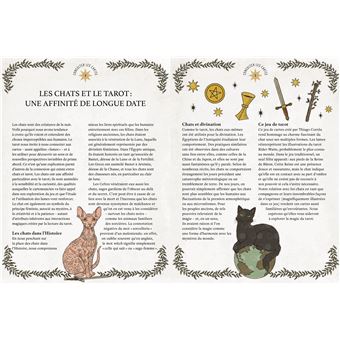 Tarot Le Pouvoir des chats