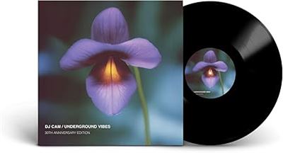 Underground Vibes - DJ Cam And Frédéric Beneix - Vinyle