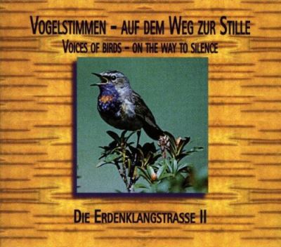 Musik auf dem weg zur sti v 2