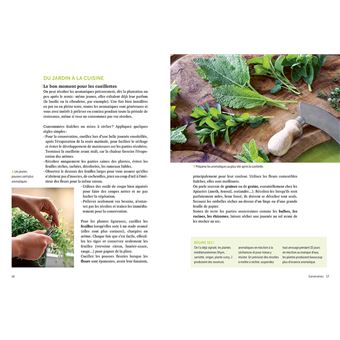 Plantes aromatiques - Comment les cultiver et les entretenir facilement