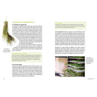 Plantes aromatiques - Comment les cultiver et les entretenir facilement