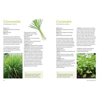 Plantes aromatiques - Comment les cultiver et les entretenir facilement