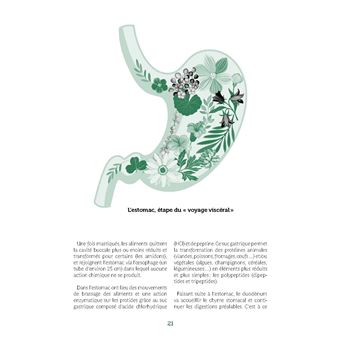 La naturopathie pour un ventre heureux. Au secours des intestins sensibles