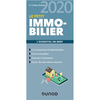 Le petit Immobilier 2020 - L'essentiel en bref