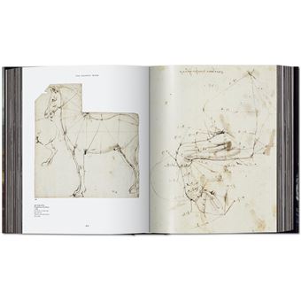Léonard de Vinci. Tout l'œuvre peint et graphique