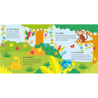 Les animaux de la jungle - Coffret livre et dominos