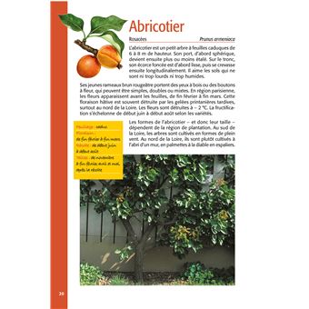 Taillez tous les arbres fruitiers